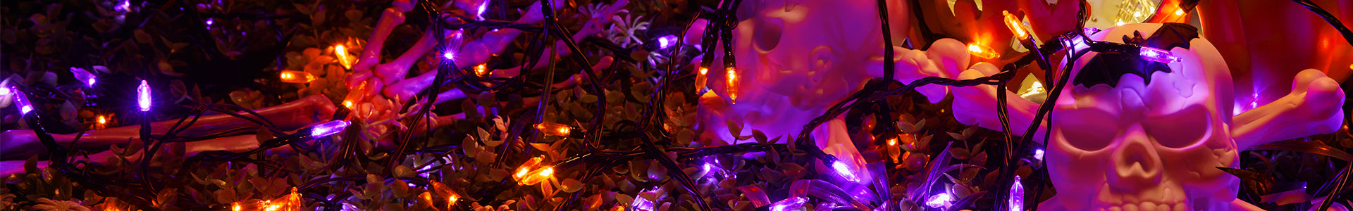 Halloween Day Lights